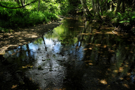Green Stream